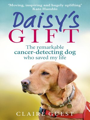 cover image of Daisy's Gift